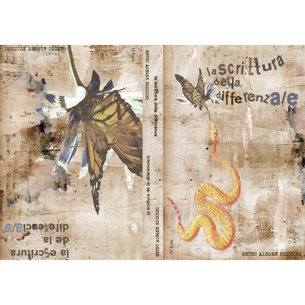 La escritura de la/s diferencia/s 2010/2011